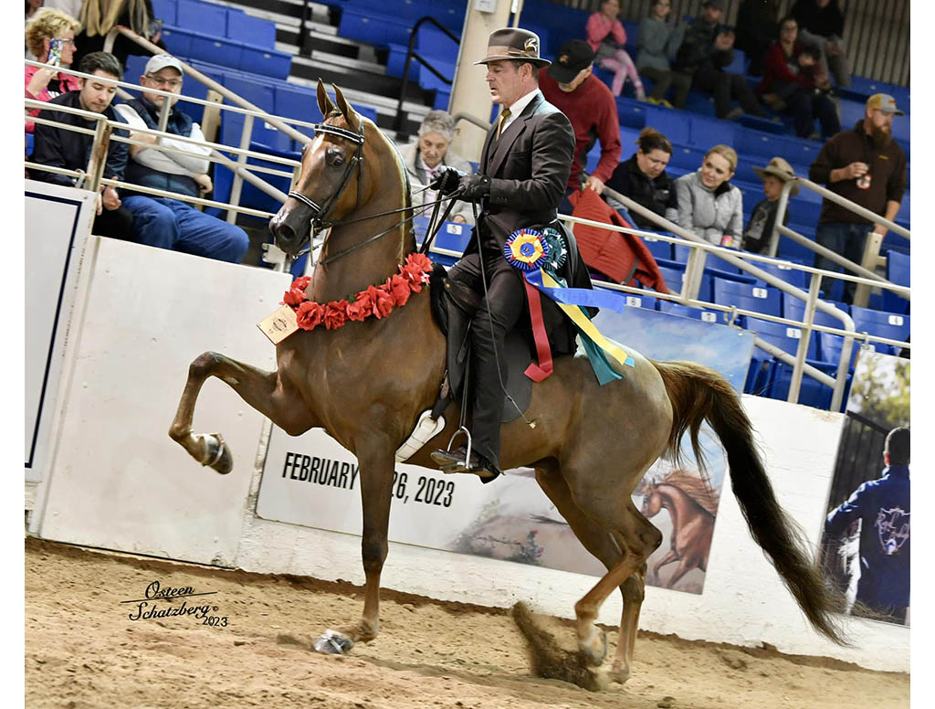 SR Cracklin Thunder - 2023 Scottsdale Champion
