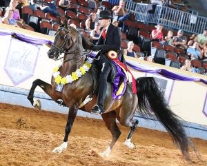 Fire It Up CRF - 2023 Midsummer Reserve National Champion