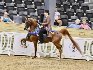 SR Prestigious - 2025 Region 14 Champion