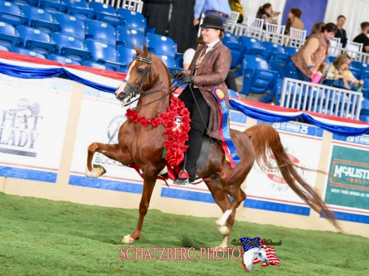 SR Prestigious - 2025 US National Champion