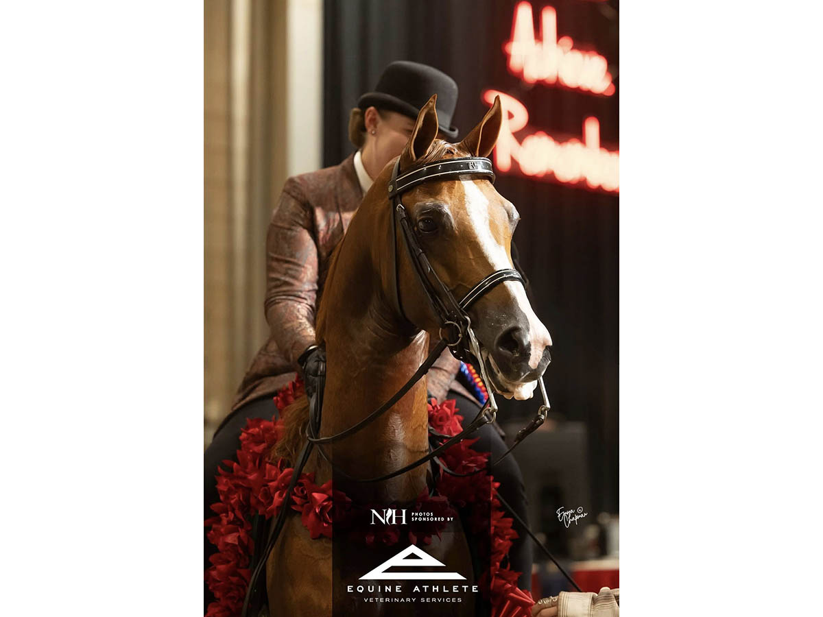 SR Prestigious - 2025 US National Champion