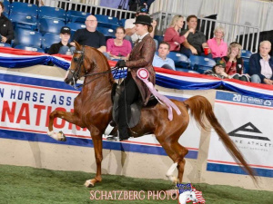 SR Prestigious - 2025 US National Champion