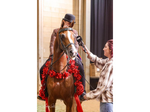 SR Prestigious - 2025 US National Champion