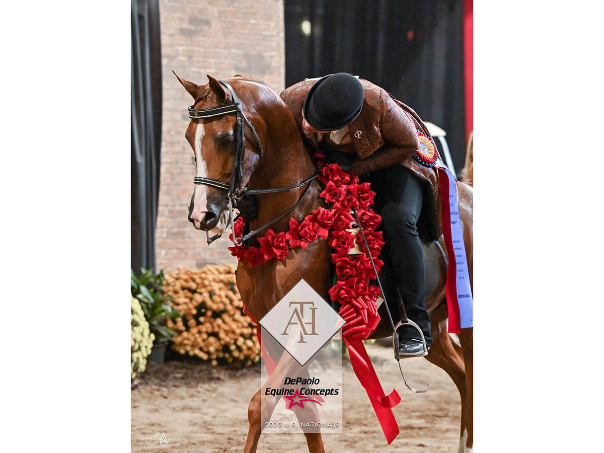 SR Prestigious - 2025 US National Champion