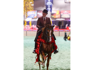 SR Prestigious - 2025 US National Champion